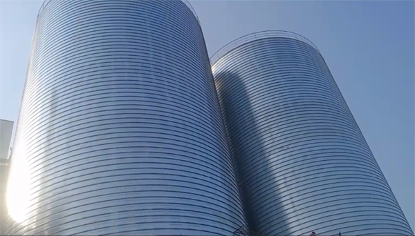 番禺2座混凝土高架卷板仓